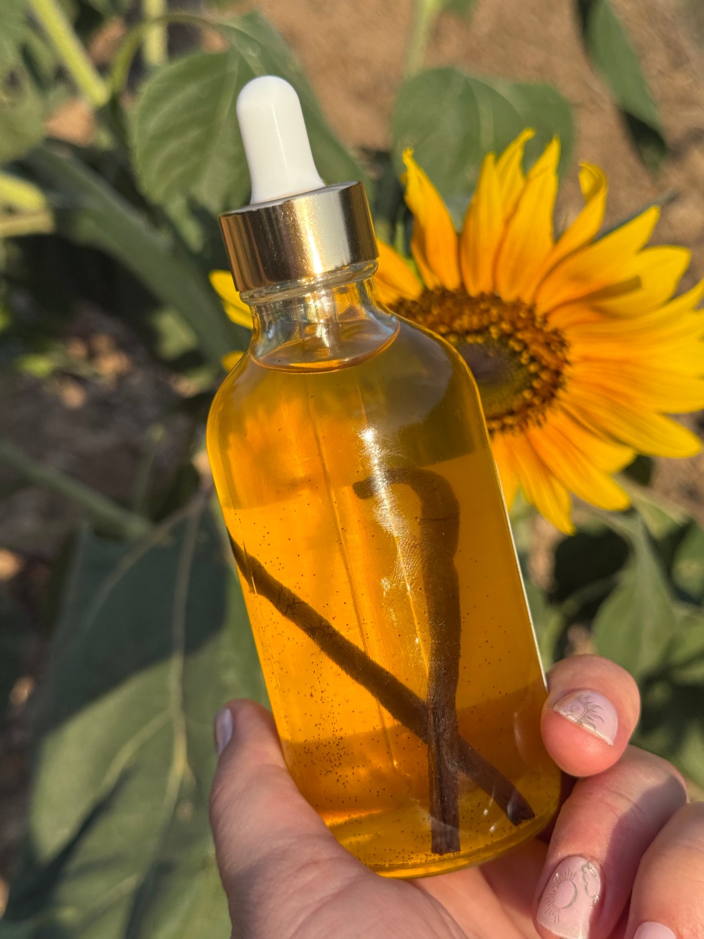 Madagascar Vanilla Bean Body Oil Warm Vanilla — Organic Golden Jojoba | Gratitude Farm