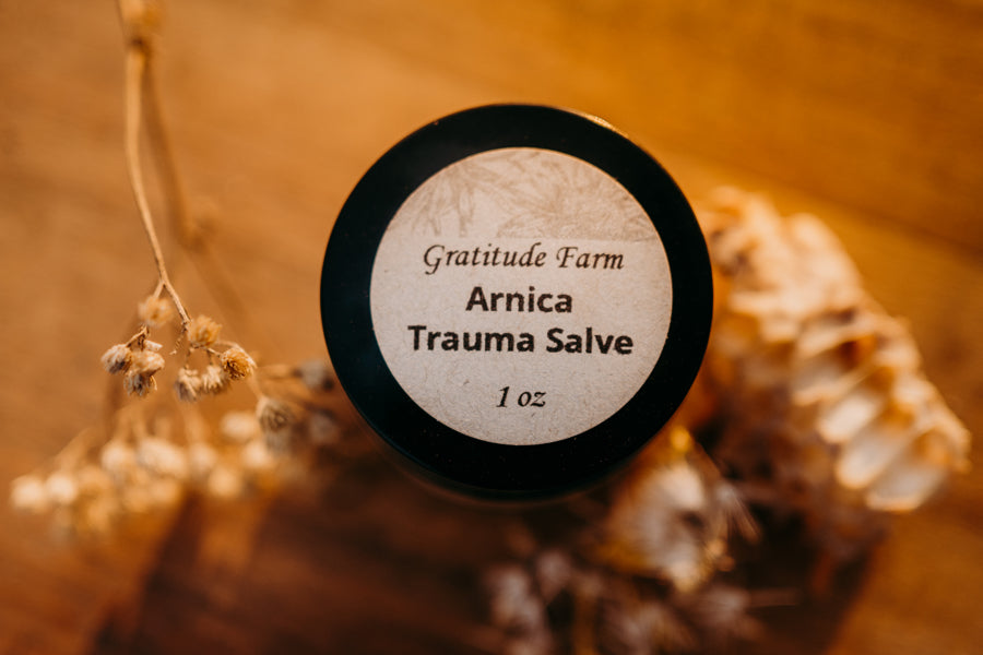 Arnica Trauma Salve