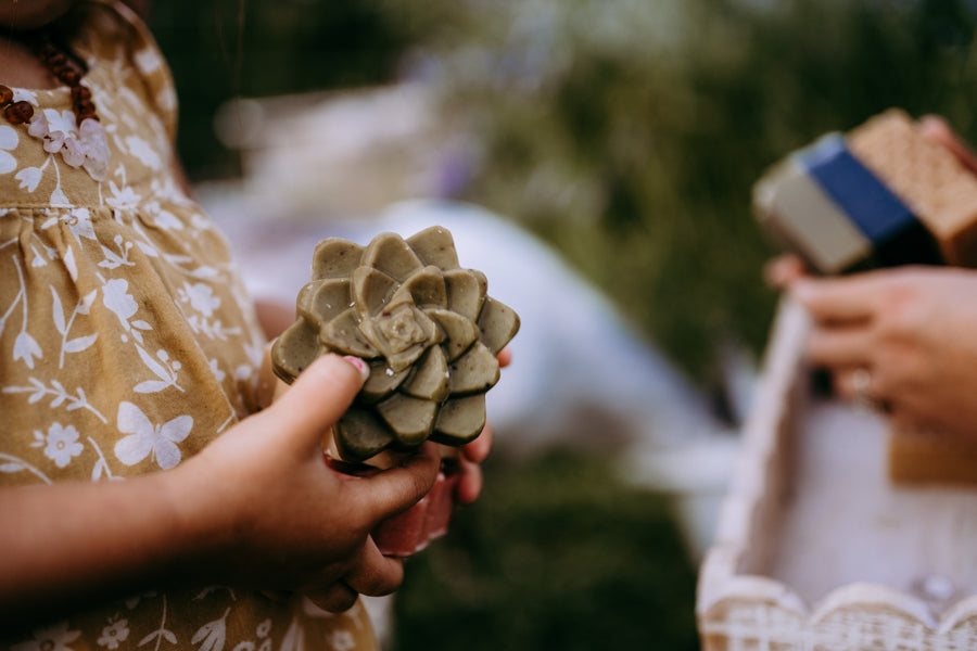 Hand Crafted Goat's Milk Soap Succulent Bars