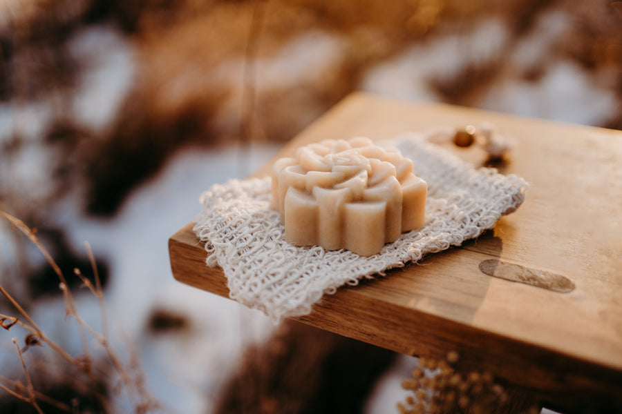 Hand Crafted Goat's Milk Soap Succulent Bars