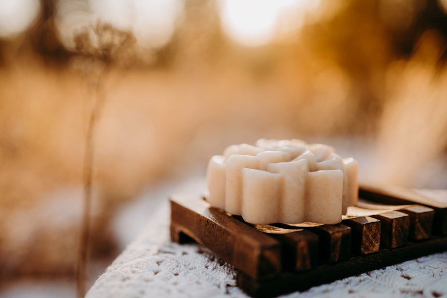 Hand Crafted Goat's Milk Soap Succulent Bars