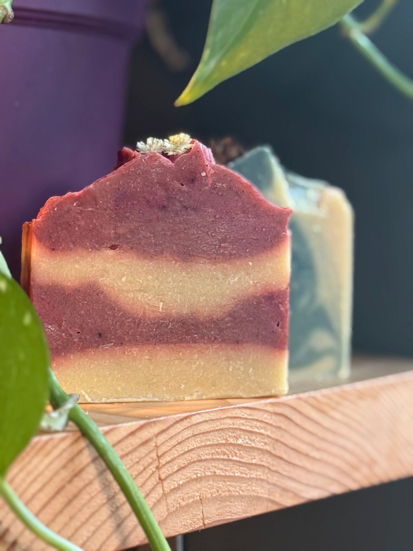 🎄 Christmas Goat Milk Soaps — Limited Edition